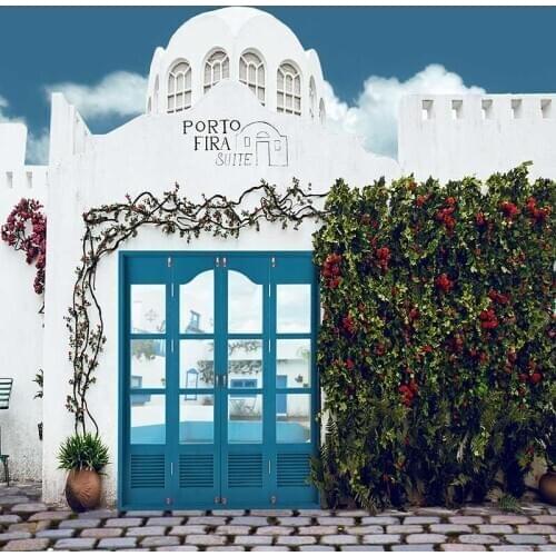 MEHOFOTO Vinyl Photography Background Retro Flower Door Computer Printed Children Backdrops for Photo Studio CM-6588