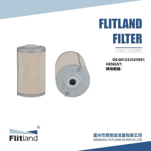 Factory Sale Fuel Filter OEM 001233525R91 FL-F113