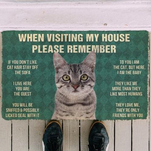 3D Please Remember Gray Tabby Cat House Rules Doormat Non Slip Door Floor Mats Decor Porch Doormat