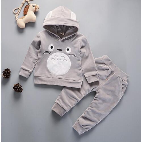 1-5 6 Year Old Boys Clothing Sets 2019 Autumn Baby Sweatshirt Totoro Jacket Top Hoodies+ Pants Girls Winter Tracksuit Leggings