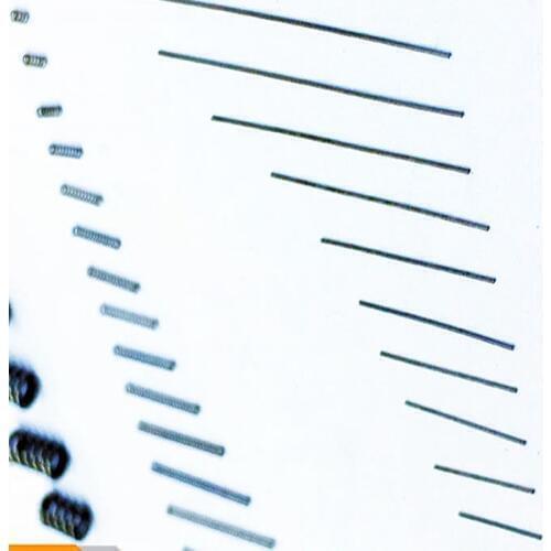 10pcs 304 stainless steel spring wire diameter 0.08mm outer diameter 0.4mm small spring length