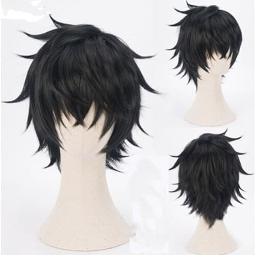 Anime The Rising of the Shield Hero Naofumi Iwatani Cosplay Wigs 30cm Short Black Heat Resistant Synthetic Hair Wig + Wig Cap