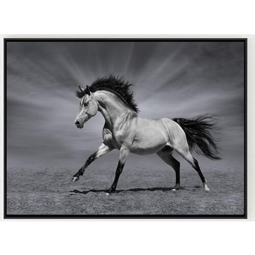 Horses Black And White Pictures Living Room Wall Art Decor Animal No Frame Poster Oil Painting Decoration