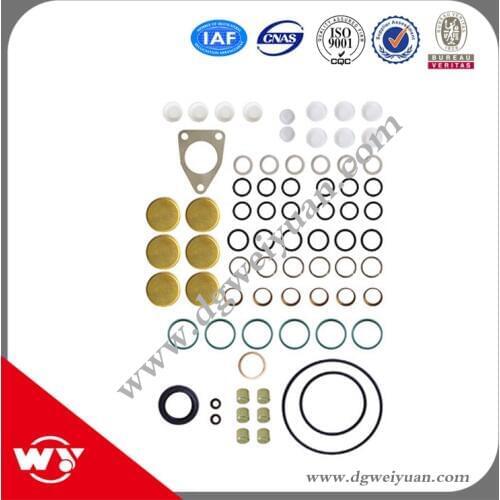 Hot sale repair kits 2417010010 800019 for injector pump