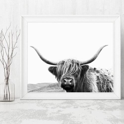 Highland Cow Canvas Art Print and Poster Farm Animal Highland Bull Photography Canvas Painting Picture Modern Wall Art Decor