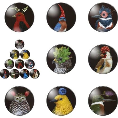 Cute Birds Head Dress Up Flower Fruit 10pcs Mixed 12mm/20mm/25mm/30mm Round Photo Glass Cabochon Demo Flat Back Making Findings