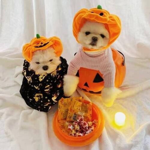 Halloween Pet Pumpkin Dog Caps Pet Cat Dog Hat Ghost Festival Headdress Supplies Decorative Plush Cap Party Holiday Decorations