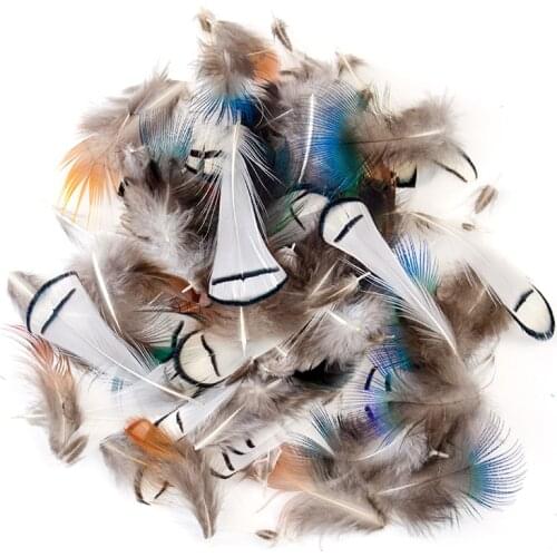 10--100-500 pcs High Quality Natural Peacock Pheasant Feathers Plume Jewelry Making Christmas Holiday Decoration Plume for Craft