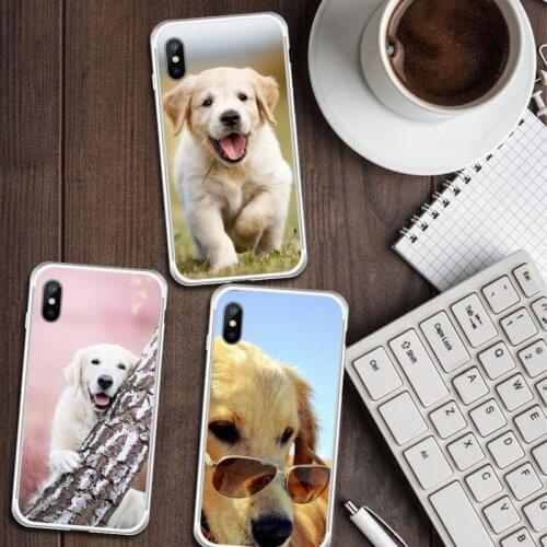 Golden retriever dog cute protective Phone Case Transparent for iPhone 6 7 8 11 12 s mini pro X XS XR MAX Plus