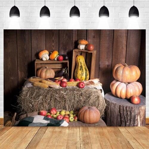 Yeele Autumn Photography Backgrounds Haystack Pumpkin Fruits Baby Child Portrait Photographic Backdrop Photo Studio Photozone