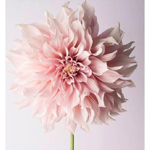 LaoJieYuan Embroidery Diamond painting&Diy Diamond painting