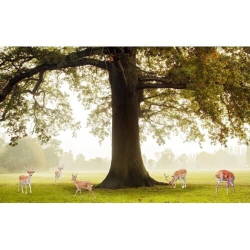 Big tree curtains 3D Window Curtain Foggy forest Luxury Blackout Living Room office Bedroom Customized size