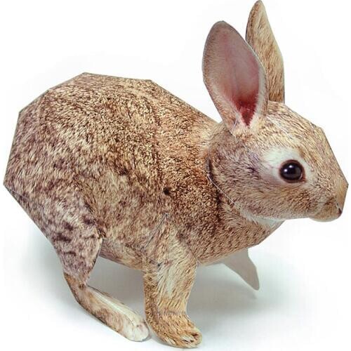Cottontail Rabbit Paper Model Realistic Animal Mini Cute Folding Card 3D Papercraft DIY Kids Adult Handmade Craft Toys WE-036