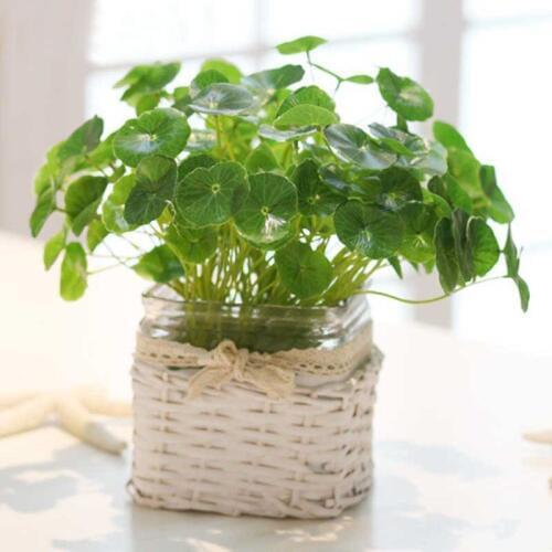 Artificial plant Leaves Grass Artificial Flower Home Decoration Wedding Decoration DIY Flower Wall Plant Wall Fake Flowers
