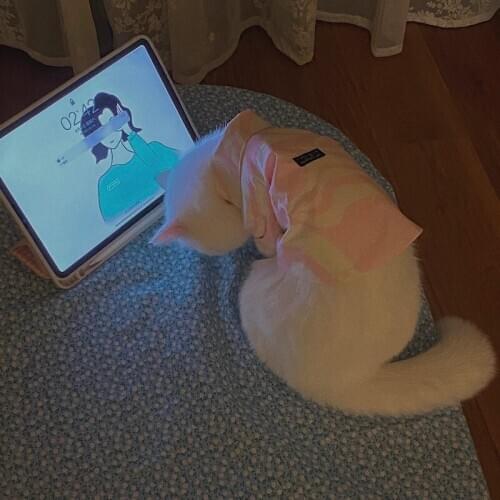 Spring Summer Autumn Thin Sweater Dog Cat Clothes Kitten Clothes Handsome Vest Cute Cat Teddy Dog Costume