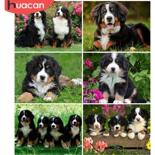 HUACAN Full Square Round Diamond Painting Dog Cross Stitch Diamond Embroidery Animal Rhinestones Pictures Handicrafts