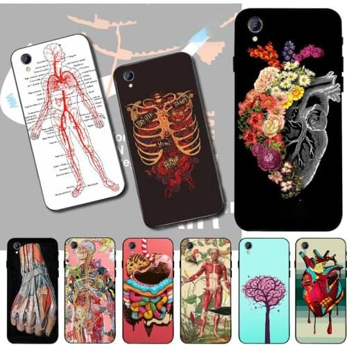 PENGHUWAN medical human head meridian kidney art Phone Case For Vivo Y91c Y17 Y51 Y67 Y55 Y93 Y81S Y19 Y7S Case
