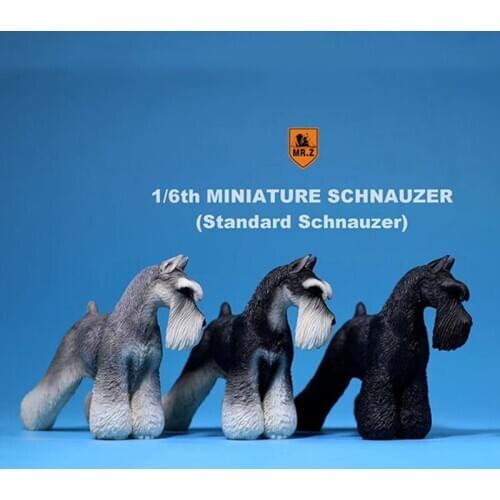 1:6 Scale Mr.Z Resin PVC Miniature Standard Schnauzer Dog Model Toy fit 12" Action Figure Toys Accessories