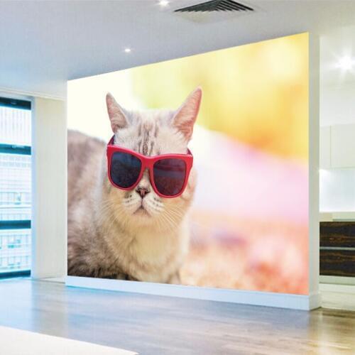 Effect photo wallpaper HD beautiful cute cat photography close TV background wall living room wallpaper lobby mural