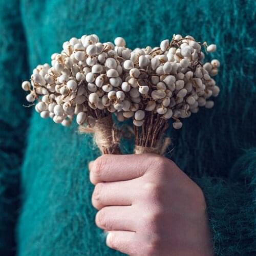 30g/10-15cm,Natural Dried White fruits Bunch,Eternal Dry Flower Wedding Deco Marriaga Home Christmas Decoration Accessories