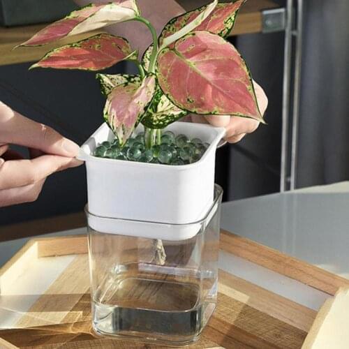 Automatic Self Watering Succulent Plant Flower Pot PP Planter Home Garden Decor