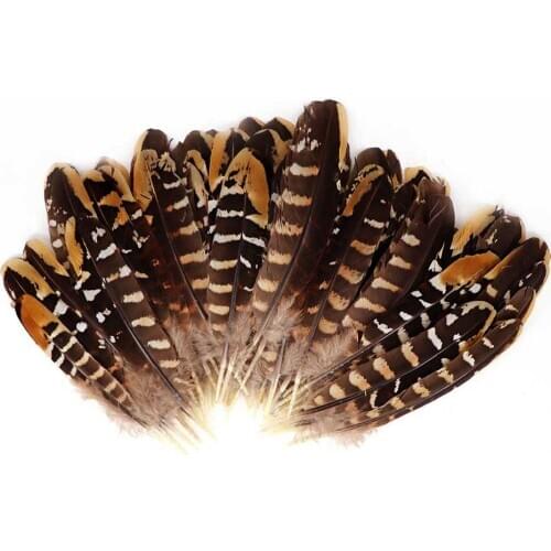 50/100Pcs DIY Pheasant Feathers Small Crafts Plume Natural Wedding Feather Chicken Jewelry Making Party Decor Plumas Accessories