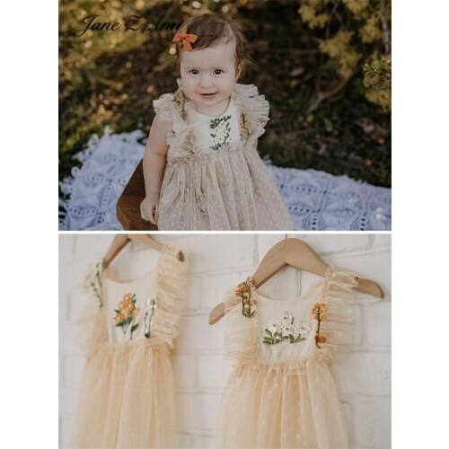 Jane Z Ann Lace Embroidered Princess dress 100 days 1-2 year Baby Girl Photo Clothing Newborn Photography Prop 4 sizes