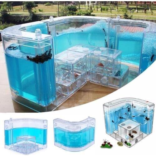 Pecute Rodent Tunnels