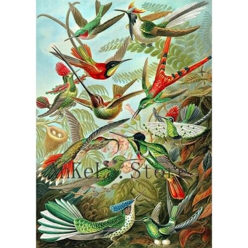 5D Diy Diamond Painting Retro Hummingbird Square/Round Diamond Embroidered Mosaic Tropical Plant Wall Art Picture Decoration