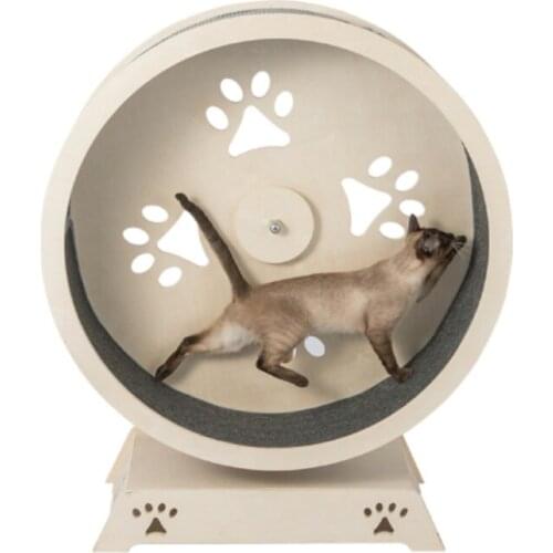 New pet cat trendclasses to exercise pets, professional design, safe, environmentally friendly pet cat treadmill