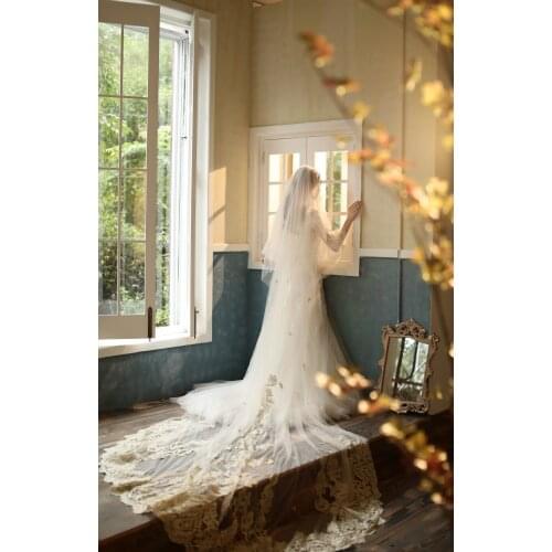 New Luxury Bridal Veils Cathedral Length With Free Comb 3.5m Two Layers Long White Champange Lace Applique Sequins Wedding Veil