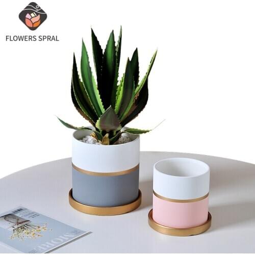Nordic Ins Ceramic Light Luxury Fashion Ceramic Planting Flower Pots, Desk And Dining Table Decorations, Creative Gifts