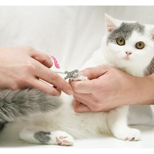 Pet Nail Clipper Scissors Pet Dog Cat Nail Toe Claw Clippers Scissors Trimmer Grooming Tools for Animals Pet Supplies