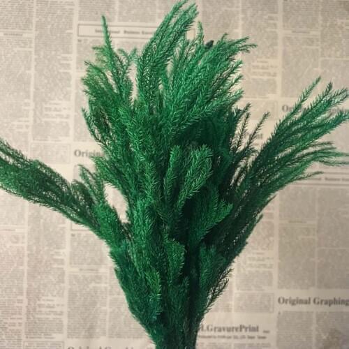 20-30CM/30g Real Dried Natural Fresh Forever Lycopodium Branches,Decorative Club Moss Bouquet,Dry preserved Eternal Grass,Home