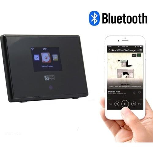 Ocean Digital Radio Tuner Modelc IRT-01C DB-80 DBA-01B WLAN Internet Radio with Blue tooth Receiver, Audio Out Desktop