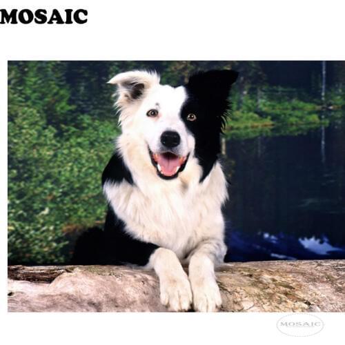 5D DIY diamond embroidery sale border collie dogs diamond painting Cross Stitch full square Rhinestone mosaic decoration
