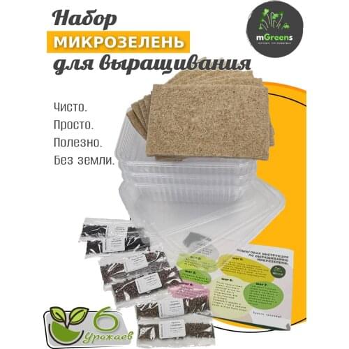 6 Урожаев Микрозелени Lettuce Seeds
