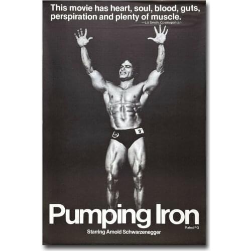Arnold Schwarzenegger Bodybuilding 2 Wall Sticker Silk Poster Art Light Canvas Home Decoration