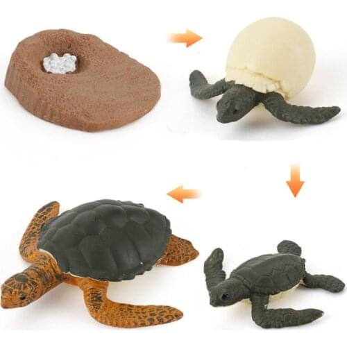 Фигурки птиц LMKJ China At AliExpress