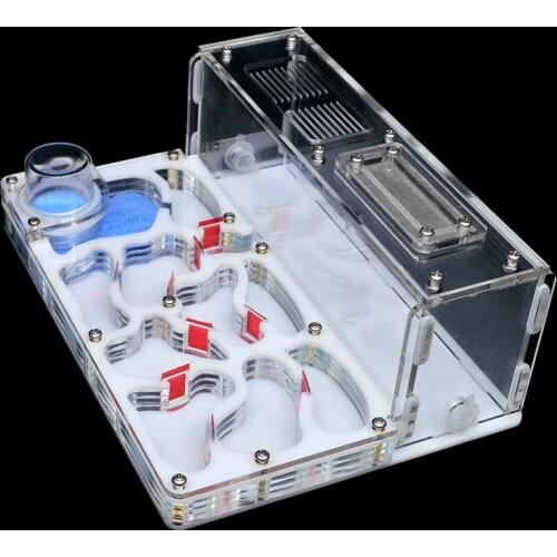 Hot sale DIY Ant Nest with Feeding Area Large Flat Acrylic Ant Farm Big Ant House for Pet Anthill with Workshop Castle