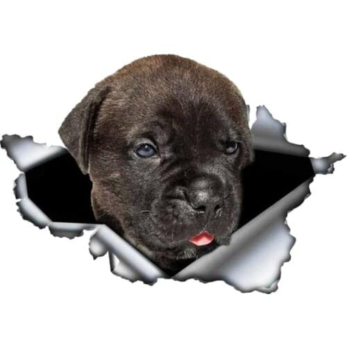 B0102# Removable 3D Self-adhesive Decal Black Cane Corso Dog Car Sticker Waterproof Auto Decors on Bumper Rear Window