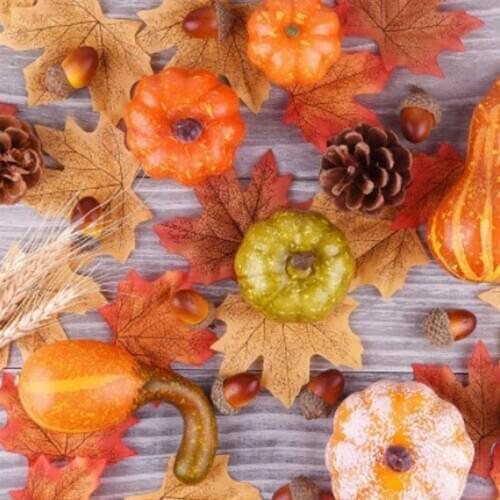 50 Pieces Autumn Holiday Decoration Pumpkins And Maple Leaves Apples