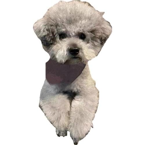 New Summer Dog Bandana Neck Scarf Tie Bowtie Necktie Pet Collar Neckerchief Grooming Accessories French Bulldog Pug ZLC25