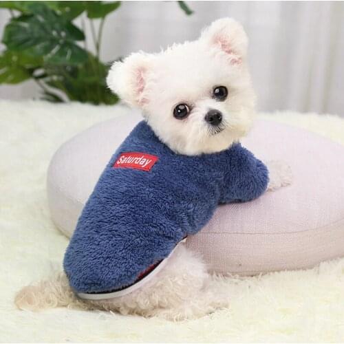 Two-legged Dog Clothes Winter Dog Sweater Warm Jacket For Small Cat Puppy Lamb Wool Sweater Pet Clothing