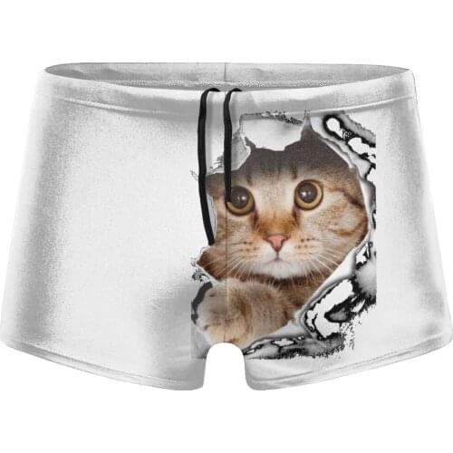 Men Cat lovers beach swimming trunks Scotland Fold (3) swimsuits husband for the sea Pool