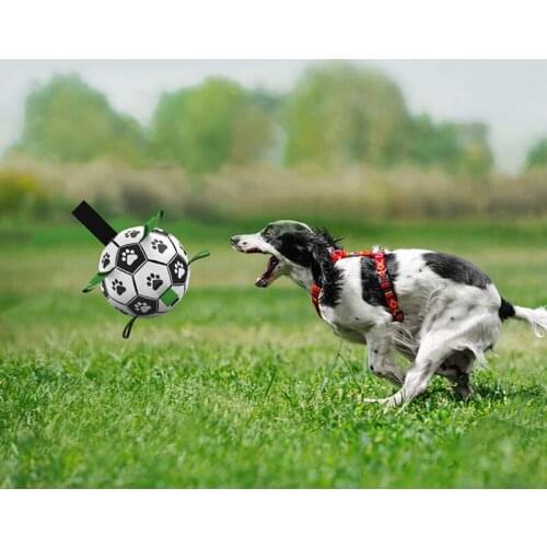 Grab Tab Dog Soccer Ball Indoor Outdoor Interactive Dog Toy Unique and Fun Dog Tug Toy Dog Water Toy JS22