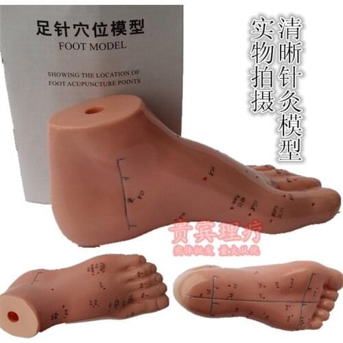 Foot acupuncture point model foot acupuncture model foot model high quality English code