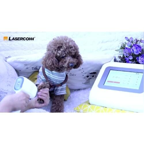 2021 Hot sale 30W Class IV laser therapy device for pet pain dog pain relief