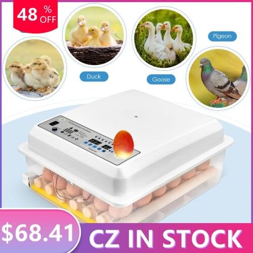 Eggs Incubator 36 Eggs Digita Mini Automatie Incubatores Chicken Automatic Eggs Incubator Bird Quail Brooder Cheap Price