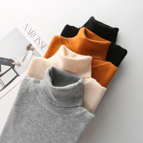 Long Sleeve Women Turtleneck Sweater 100% Wool 2021 Autumn Spring Warm Soft Knitted Pullover Femme Jumper Women Cashmere Sweater